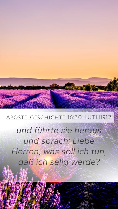 Apostelgeschichte 16:30 LUTH1912 Bible Verse Image