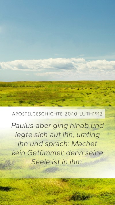 Apostelgeschichte 20:10 LUTH1912 Bible Verse Image