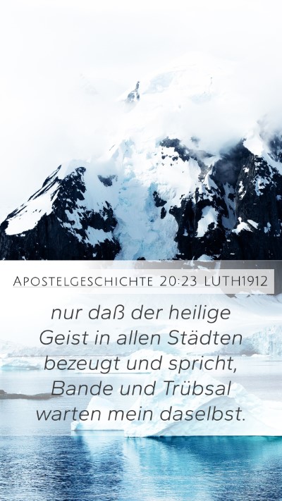 Apostelgeschichte 20:23 LUTH1912 Bible Verse Image