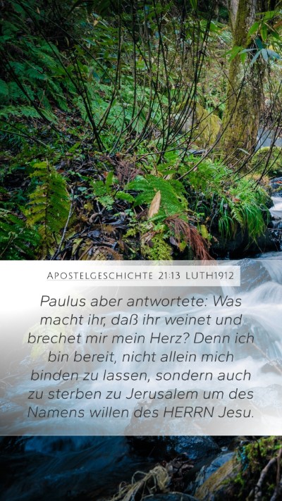 Apostelgeschichte 21:13 LUTH1912 Bible Verse Image