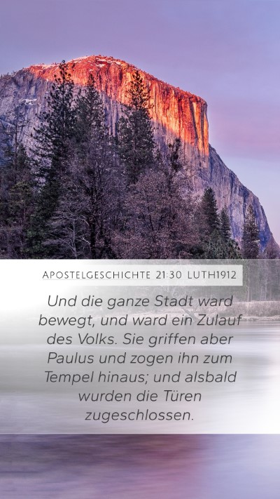 Apostelgeschichte 21:30 LUTH1912 Bible Verse Image