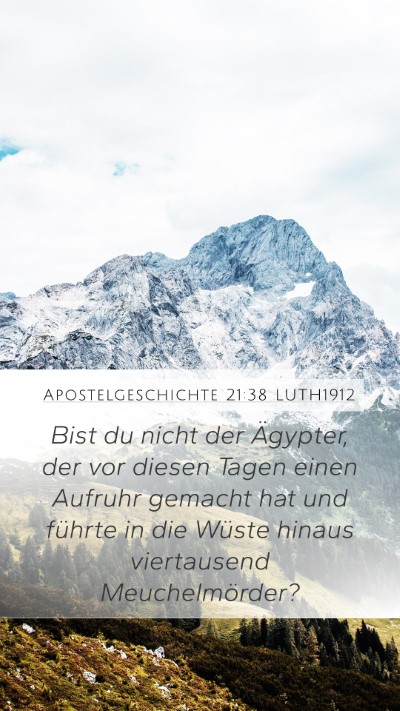 Apostelgeschichte 21:38 LUTH1912 Bible Verse Image