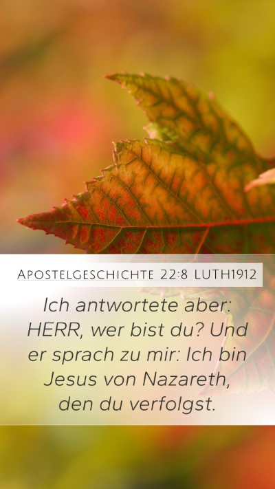 Apostelgeschichte 22:8 LUTH1912 Bible Verse Image