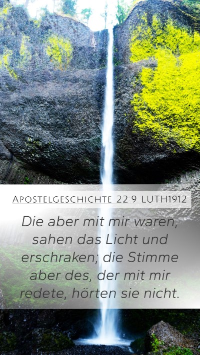 Apostelgeschichte 22:9 LUTH1912 Bible Verse Image