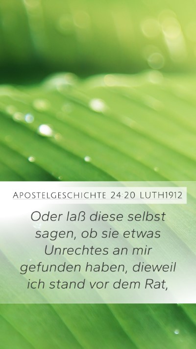 Apostelgeschichte 24:20 LUTH1912 Bible Verse Image