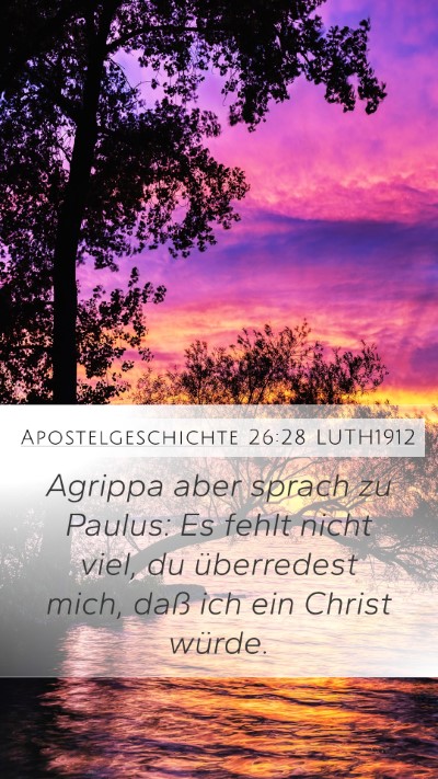 Apostelgeschichte 26:28 LUTH1912 Bible Verse Image