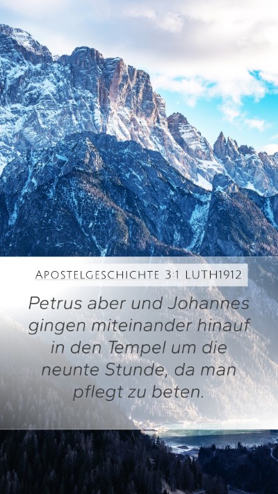 Apostelgeschichte 3:1 LUTH1912 Bible Verse Image