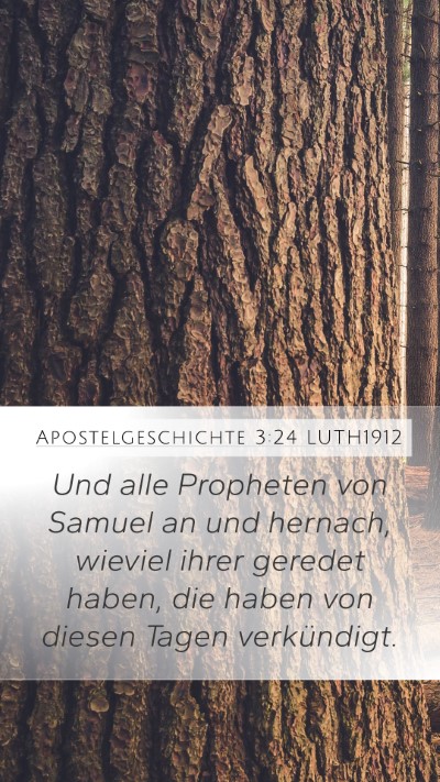 Apostelgeschichte 3:24 LUTH1912 Bible Verse Image