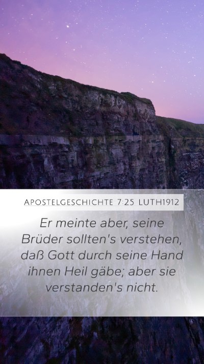 Apostelgeschichte 7:25 LUTH1912 Bible Verse Image