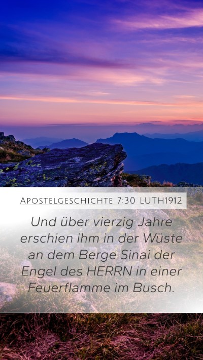 Apostelgeschichte 7:30 LUTH1912 Bible Verse Image