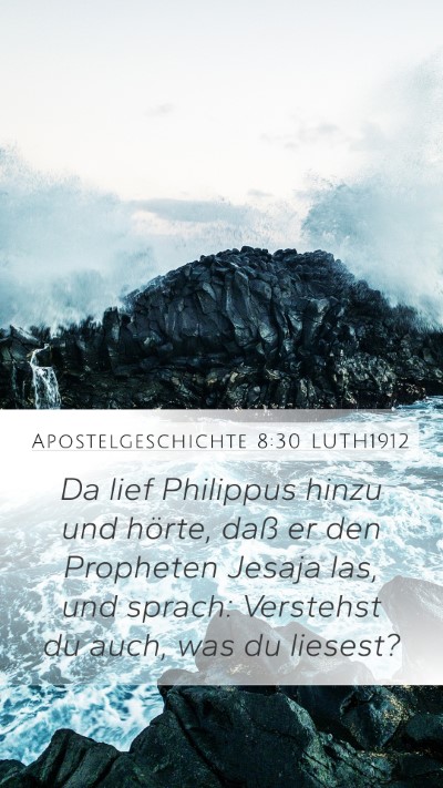 Apostelgeschichte 8:30 LUTH1912 Bible Verse Image