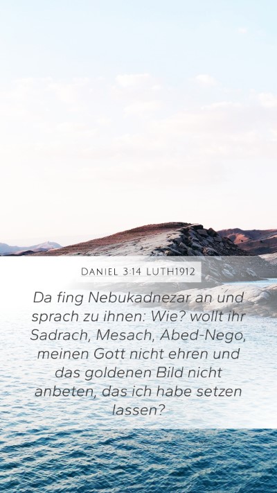 Daniel 3:14 LUTH1912 Bible Verse Image