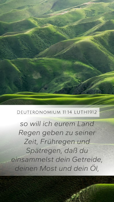Deuteronomium 11:14 LUTH1912 Bible Verse Image