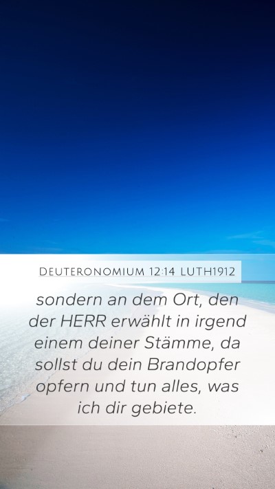 Deuteronomium 12:14 LUTH1912 Bible Verse Image