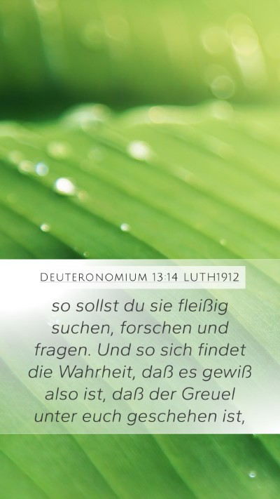 Deuteronomium 13:14 LUTH1912 Bible Verse Image