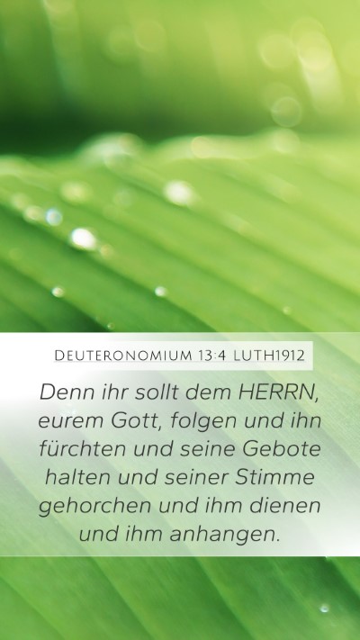 Deuteronomium 13:4 LUTH1912 Bible Verse Image