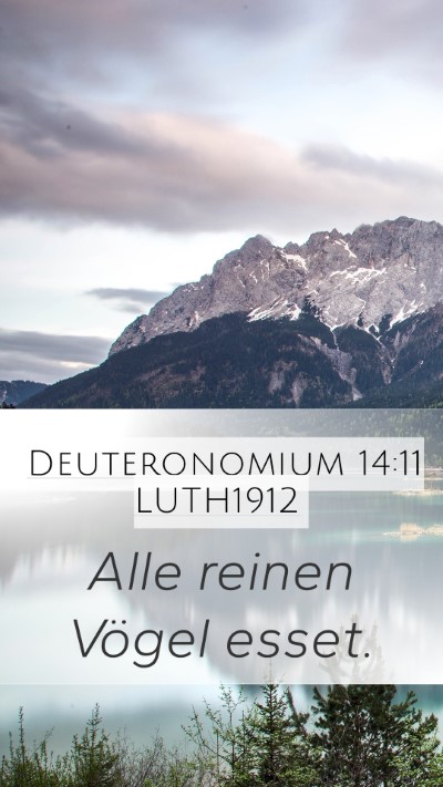 Deuteronomium 14:11 LUTH1912 Mobile Phone Wallpaper - Alle reinen Vögel - Mobile Bible Verse Wallpaper