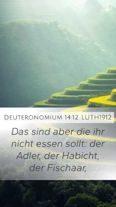 Deuteronomium 14:12 LUTH1912 Mobile Phone Wallpaper - Das sind aber die ihr nicht essen sollt: der - Mobile Bible Verse Wallpaper