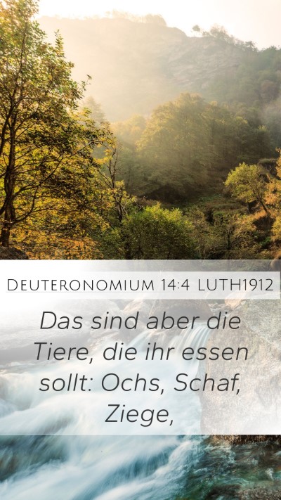 Deuteronomium 14:4 LUTH1912 Mobile Phone Wallpaper - Das sind aber die Tiere, die ihr essen sollt: - Mobile Bible Verse Wallpaper