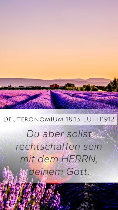 Deuteronomium 18:13 LUTH1912 Bible Verse Image