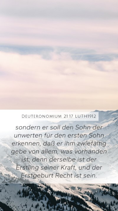Deuteronomium 21:17 LUTH1912 Bible Verse Image