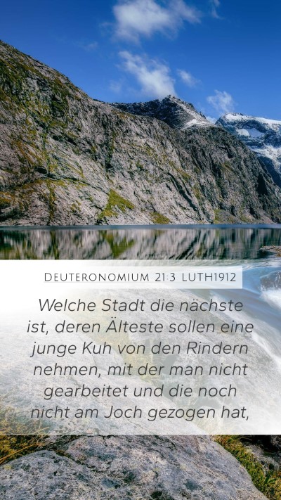 Deuteronomium 21:3 LUTH1912 Mobile Phone Wallpaper - Welche Stadt die nächste ist, deren Älteste - Mobile Bible Verse Wallpaper