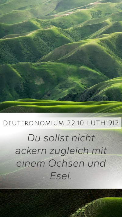 Deuteronomium 22:10 LUTH1912 Mobile Phone Wallpaper - Du sollst nicht ackern zugleich mit einem Ochsen - Mobile Bible Verse Wallpaper