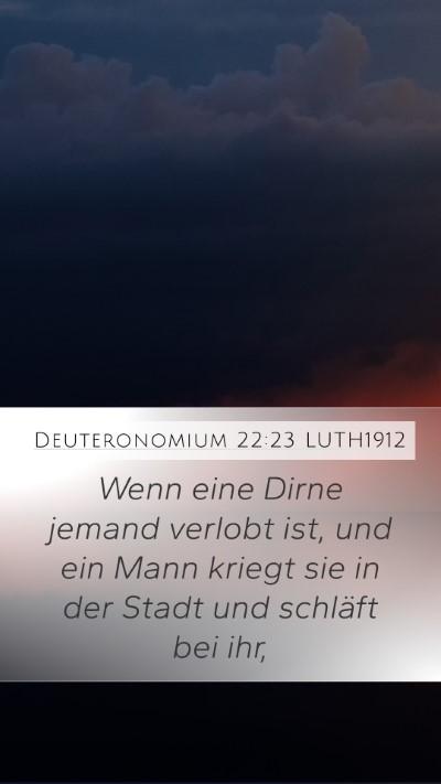 Deuteronomium 22:23 LUTH1912 Bible Verse Image