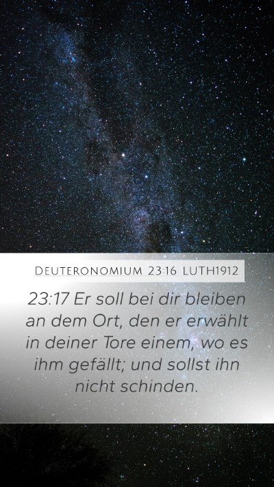 Deuteronomium 23:16 LUTH1912 Mobile Phone Wallpaper - 23:17 Er soll bei dir bleiben an dem Ort, den er - Mobile Bible Verse Wallpaper
