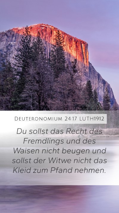 Deuteronomium 24:17 LUTH1912 Bible Verse Image