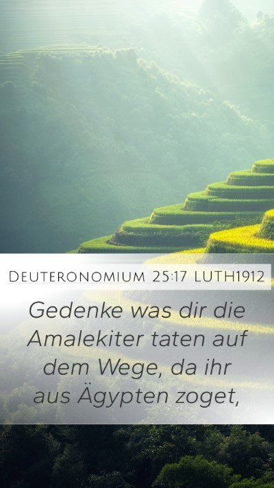 Deuteronomium 25:17 LUTH1912 Bible Verse Image