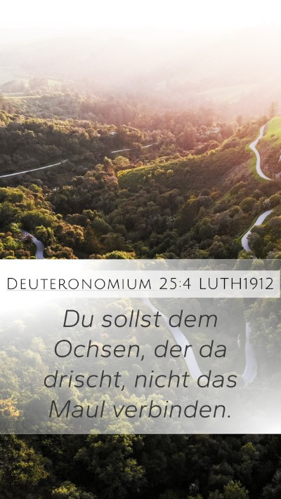 Deuteronomium 25:4 LUTH1912 Bible Verse Image