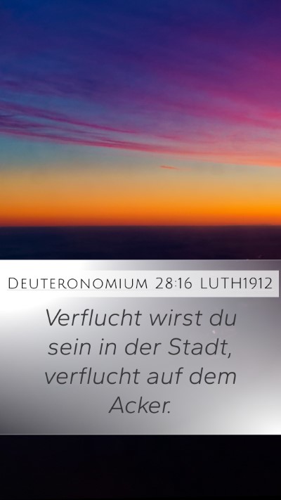 Deuteronomium 28:16 LUTH1912 Mobile Phone Wallpaper - Verflucht wirst du sein in der Stadt, verflucht - Mobile Bible Verse Wallpaper