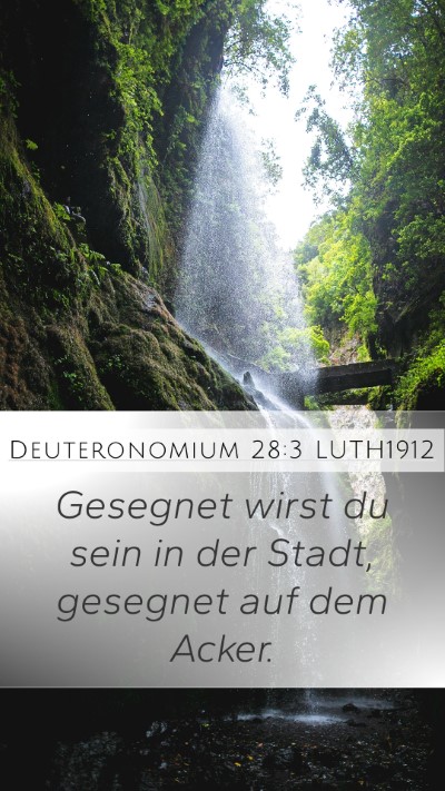 Deuteronomium 28:3 LUTH1912 Bible Verse Image