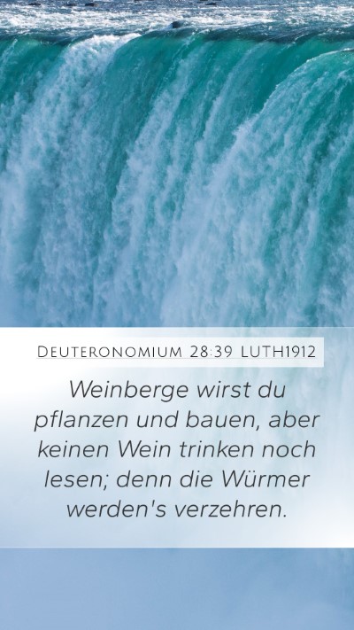 Deuteronomium 28:39 LUTH1912 Bible Verse Image