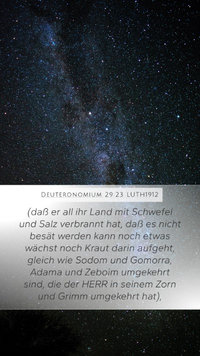 Deuteronomium 29:23 LUTH1912 Bible Verse Image