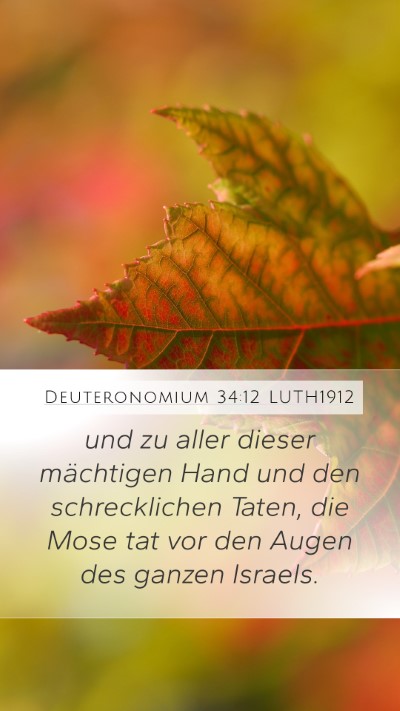 Deuteronomium 34:12 LUTH1912 Mobile Phone Wallpaper - und zu aller dieser mächtigen Hand und den - Mobile Bible Verse Wallpaper