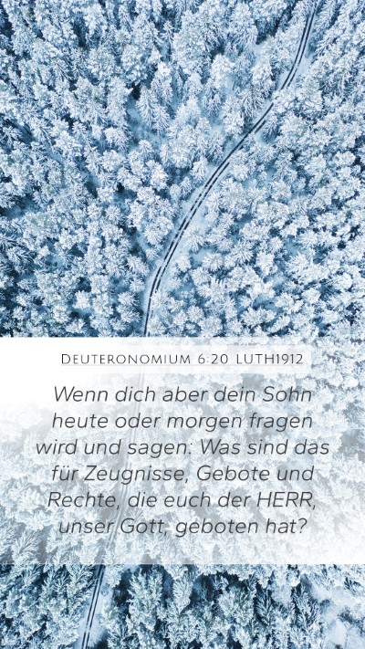 Deuteronomium 6:20 LUTH1912 Bible Verse Image