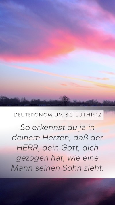 Deuteronomium 8:5 LUTH1912 Bible Verse Image