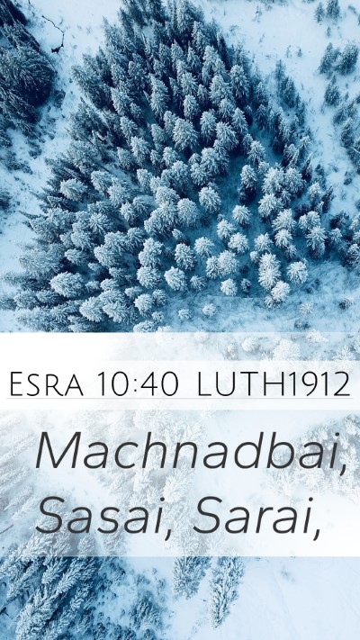 Esra 10:40 LUTH1912 Mobile Phone Wallpaper - Machnadbai, Sasai, - Mobile Bible Verse Wallpaper
