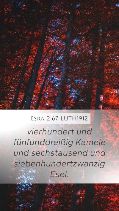 Esra 2:67 LUTH1912 Mobile Phone Wallpaper - vierhundert und fünfunddreißig Kamele und - Mobile Bible Verse Wallpaper