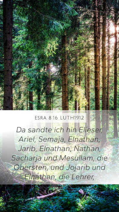 Esra 8:16 LUTH1912 Mobile Phone Wallpaper - Da sandte ich hin Elieser, Ariel, Semaja, - Mobile Bible Verse Wallpaper