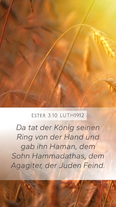 Ester 3:10 LUTH1912 Bible Verse Image