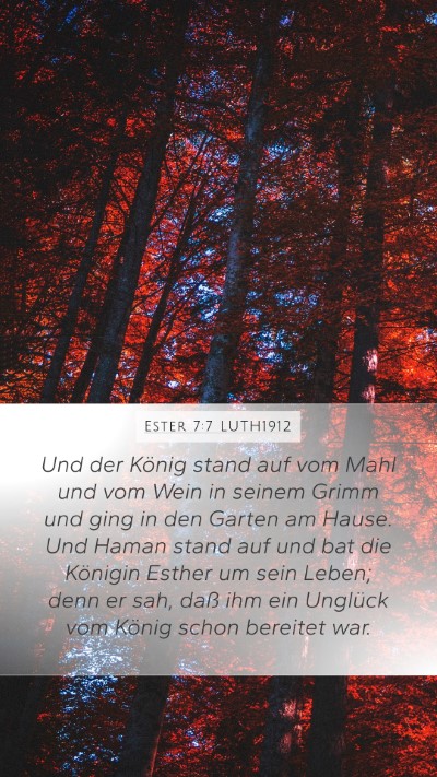 Ester 7:7 LUTH1912 Bible Verse Image