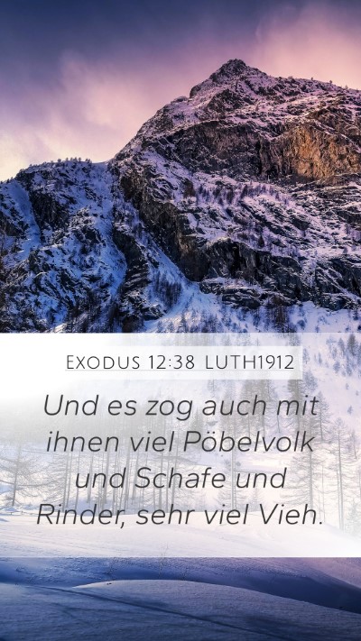 Exodus 12:38 LUTH1912 Bible Verse Image