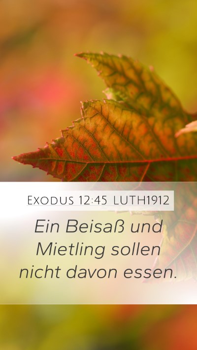 Exodus 12:45 LUTH1912 Mobile Phone Wallpaper - Ein Beisaß und Mietling sollen nicht davon - Mobile Bible Verse Wallpaper