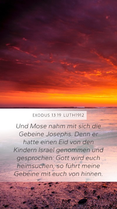 Exodus 13:19 LUTH1912 Bible Verse Image