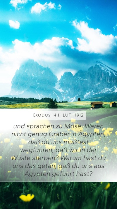 Exodus 14:11 LUTH1912 Bible Verse Image