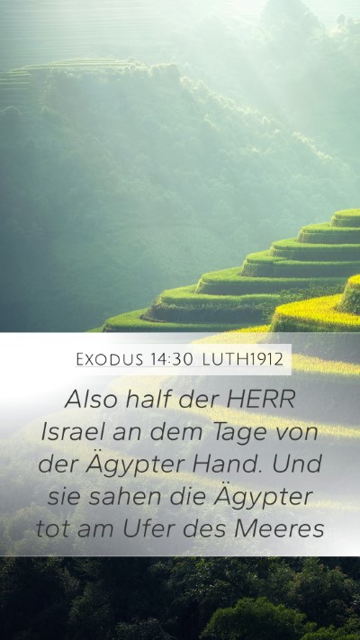 Exodus 14:30 LUTH1912 Bible Verse Image