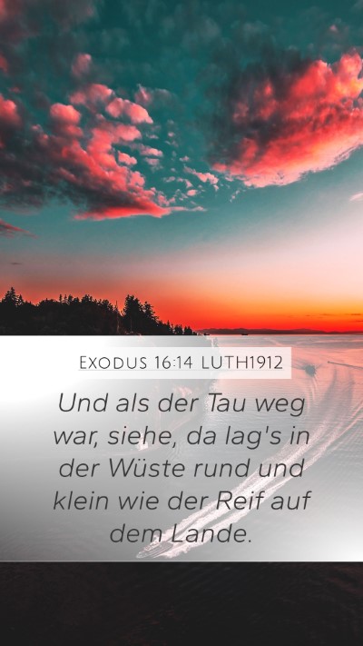Exodus 16:14 LUTH1912 Bible Verse Image